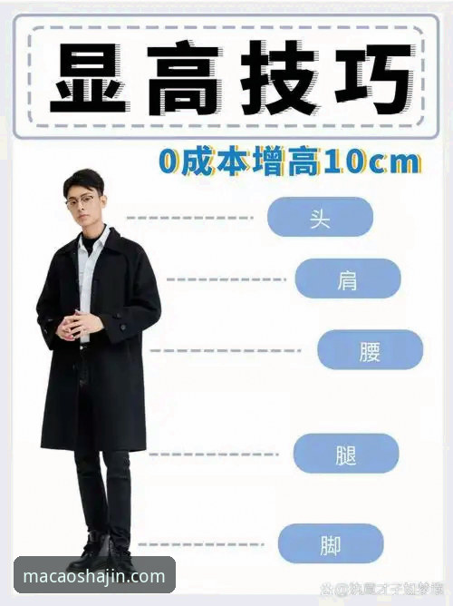澳门沙金手机版 沙金安装平台深度评测:3大核心功能与5个优化技巧